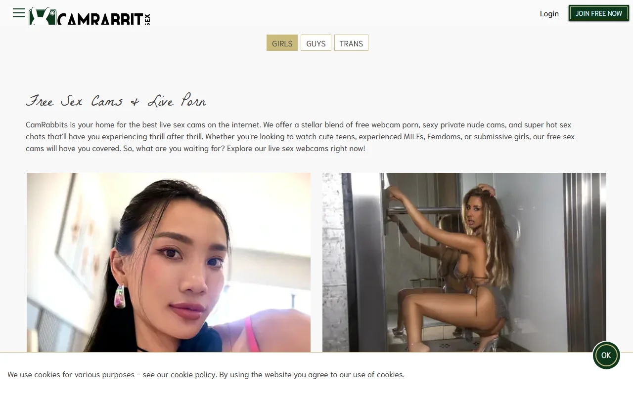 Screenshot of Camrabbit